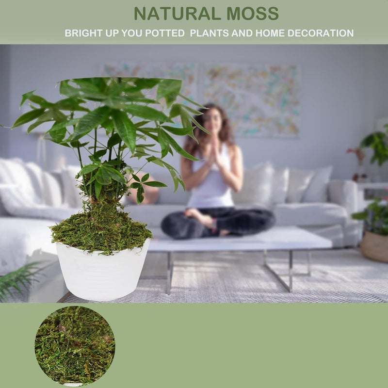 ZYAPA 35 OZ Moss for Potted Plants Fake Moss for Fake Plants,Artificial Moss for Crafts,Faux Moss for Fake Plants Decroative Moss Artificial Green Moss - Image 2